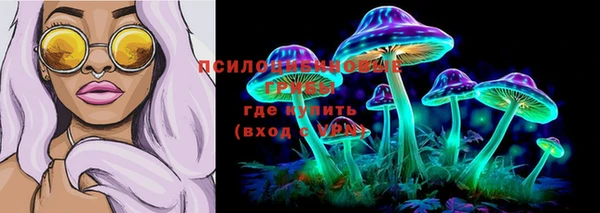 марихуана Гусиноозёрск