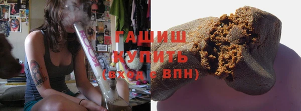 прущие грибы Горняк