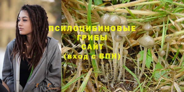 марихуана Гусиноозёрск