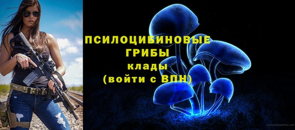скорость mdpv Гусев